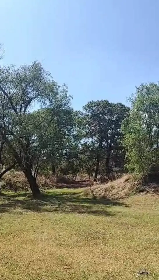 Estudio en venta en Zapopan — foto 4