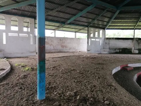 Foto 3