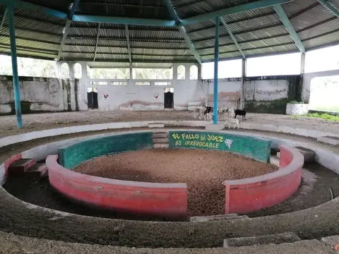 Foto 5