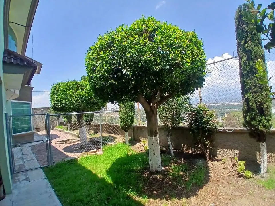 Estudio en renta en Tlaxcala de Xicohténcatl — foto 3