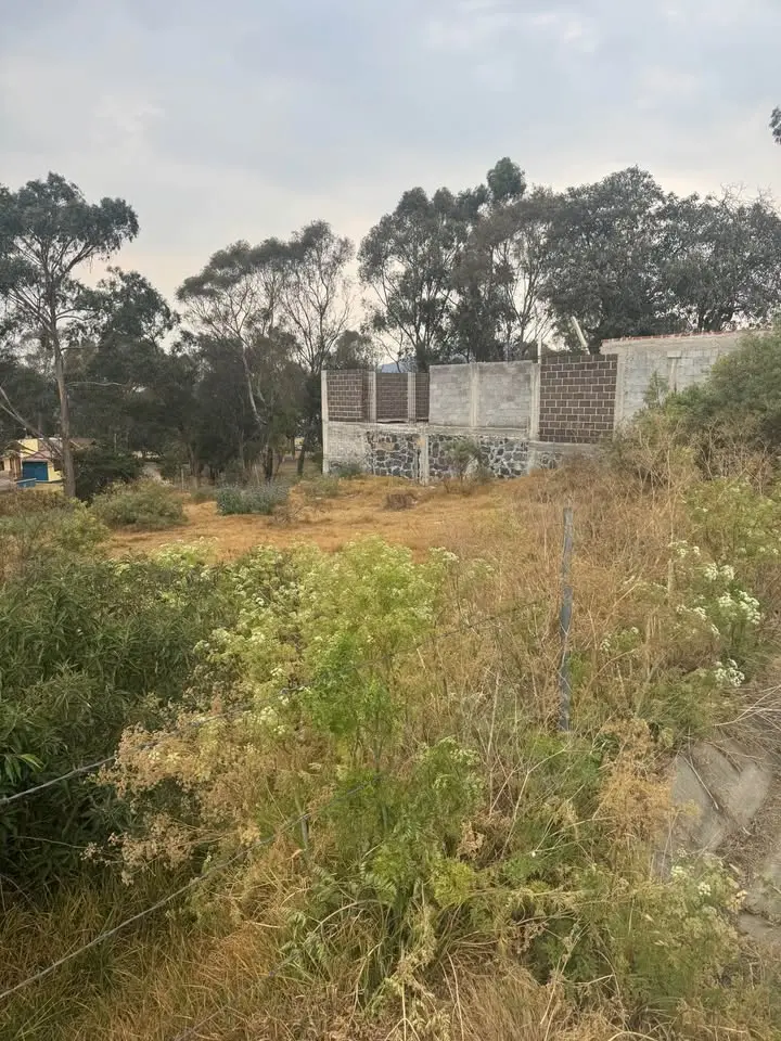 Estudio en venta en Ayapango — foto 4