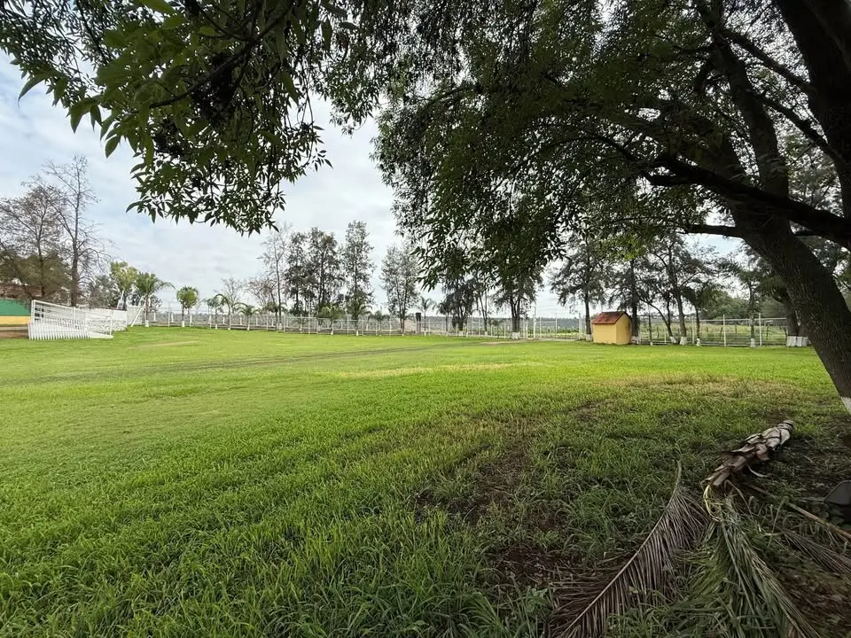 Estudio en venta en Zapotlanejo — foto 6